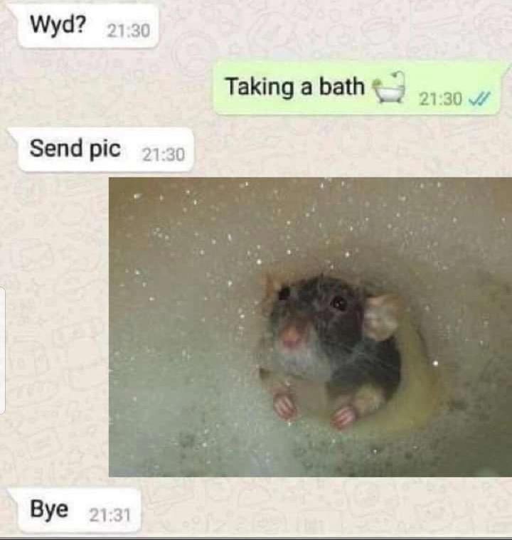 text messages; person 1: Wyd person 2: Taking a bath 1: Send pic 2: sends a picture of a rath in a bathtub 1: Bye