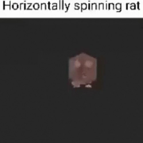 a horizontally spinning rat